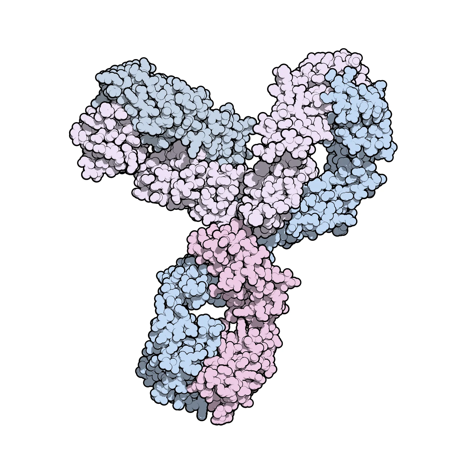 Pembrolizumab 분자 구조 — 머크 키트루다의 본체