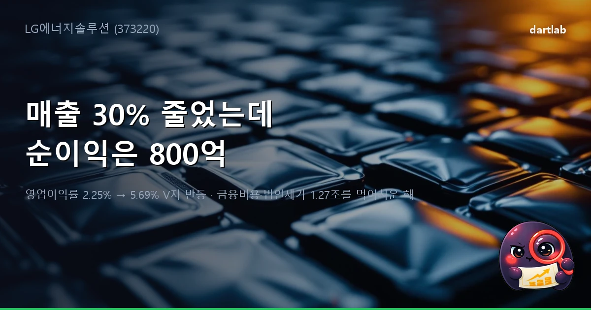 LG에너지솔루션 (373220) — 매출 30% 줄었는데 영업이익은 2배. 순이익은 왜 800억인가